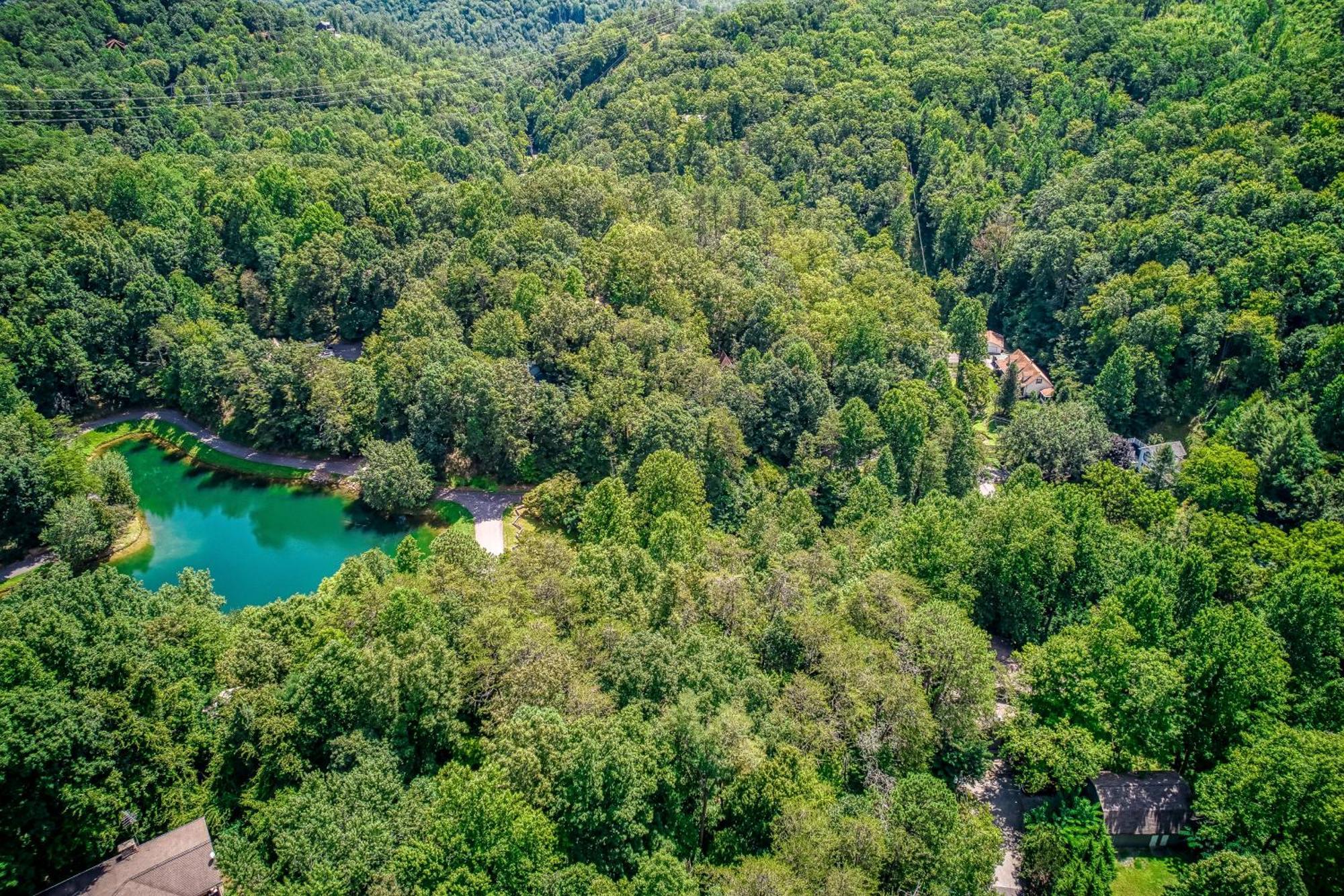 Mountain Lake Lodge, Hot Tub, Theater Room, 1089 Free Tickets Each Paid Day, Dollywood And More Sevierville Buitenkant foto